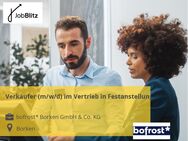 Verkäufer (m/w/d) im Vertrieb in Festanstellung - Borken