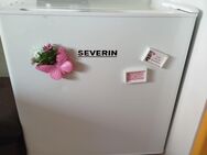 Single Gefrierschrank - Landau (Pfalz)