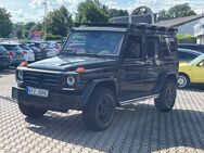 Mercedes-Benz G 350 d Professional*Off-Road Paket* Standhz.* - Limburg (Lahn) Zentrum