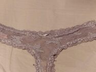 Original Hunkemöller Slip grau aus Spitze - Grünstadt