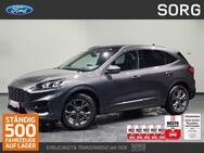 Ford Kuga, 1.5 EcoBoost ST-Line X, Jahr 2024 - Fulda