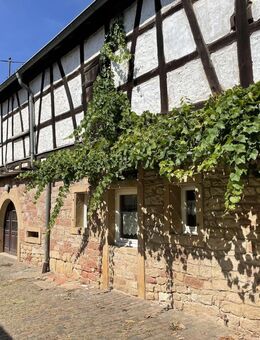 Charmantes Mehrgenerationen Haus mit Geschichte und viel Platz - Landau (Pfalz)