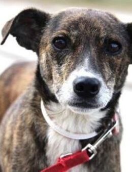 Ganya schließt man sofort ins Herz! - Karben