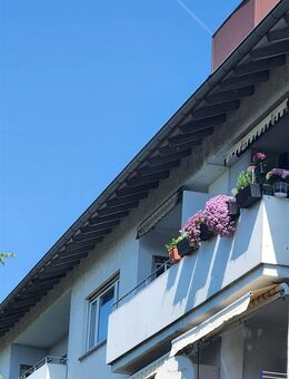 3 ZIMMER + BALKON AM FUSSE DER GARTENSTADT - Sinsheim
