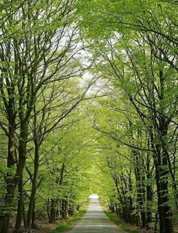 Viel Raum zur persönlichen Entfaltung & Lebensfreude! - Radeberg