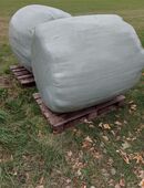 Verkaufe Silage in 99195