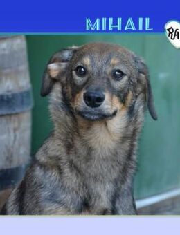 💛MIHAIL - WER NIMMT MICH IN DIE ARME? - Alfeld (Leine)