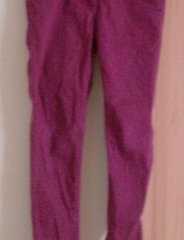Weinrote Jeans - Gr. 128 - pepperts - Pirmasens