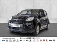 Fiat Panda, Mild Hybrid City Paket Cinema Schwarz, Jahr 2024 - Euskirchen