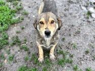 BW 14 hatte Glück im Unglück 🐾 - Elsdorf (Nordrhein-Westfalen)