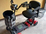 Seniorenmobil Econelo Mini E-Vierradroller so gut wie neu!