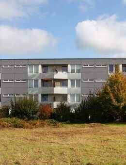 1600/81109/50 schöne Zweizimmerwohnung im zweiten Obergeschoss mit Balkon - Wiesbaden