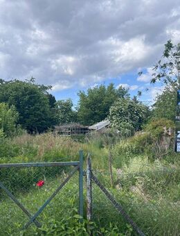 Vom Haustraum zum Traumhaus mir BIEN ZENKER - Gütersloh