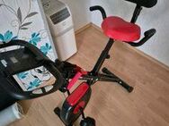 Heimtrainer - Berka (Hainich)
