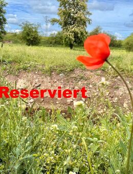4 Zimmer Eigentumswohnung inkl. Stellplatz & auf Wunsch mit 450m² Garten - Villingen-Schwenningen