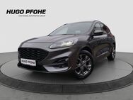 Ford Kuga, ST-Line X, Jahr 2020 - Norderstedt