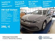 VW Golf Variant, 2.0 TDI Golf VIII FrontAssist Golf, Jahr 2022 - Neu Isenburg