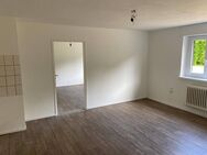 Frei !! Neu renovierte Wohnung mit 2,5 Zimmer in ruhiger Lage - Lauf (Pegnitz)