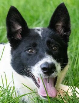 Laura Strahlemädchen zum Verlieben - Obertshausen