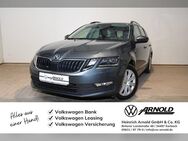 Skoda Octavia, Kombi TDI Soleil, Jahr 2019 - Korbach (Hansestadt)