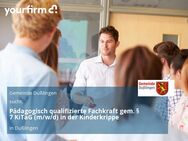 Pädagogisch qualifizierte Fachkraft gem. § 7 KiTaG (m/w/d) in der Kinderkrippe - Dußlingen