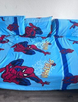 Sofa Bett mit 3 Kissen - Duisburg