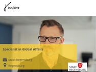 Specialist in Global Affairs - Regensburg