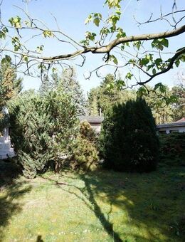 Traumhaftes Grundstück mit Ferienbungalow - Heidesee