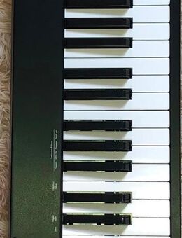 nektar IMPACT GXP88 midi-Keyboard incl. Effect Pedal & Software - Landau (Pfalz)
