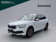 Skoda Kamiq, 1.5 TSI Tour 150PS, Jahr 2024 - Emmendingen