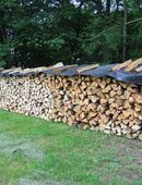 brennholz in 72636