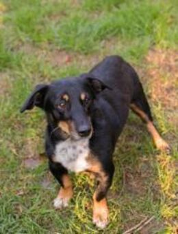 SIDNEY - da können wir noch weiter gehen - Overath