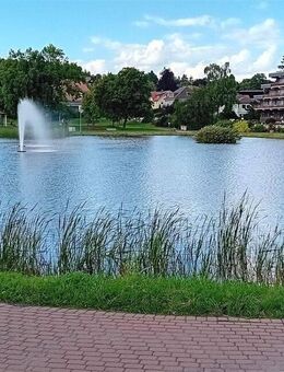 Gepflegte und wohnliche Eigentumswohnung mit Balkon - Goslar