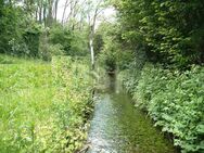 GROSSES HAUS MIT BACHLAUF UND EXTRA WEIHER - Scheuring