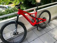 Specialized Levo SL, Gr. L, inkl Rangeextender - Hamburg