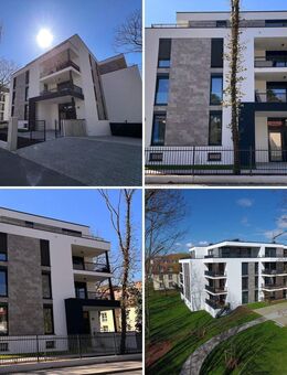 NEUBAU NÄHE RBL STADION mit 5-Zimmern / 70m² WOHNEN / 2 x TERRASSEN / BLICK in den AUENWALD / KAMIN / 2 x TG-SP - Leipzig