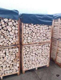 Buchen Kamin Brennholz - Castell