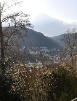 Renditeobjekt mit Aussicht - 1560 Euro/qm - Bad Liebenzell