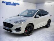 Ford Kuga 2.5 Duratec FHEV 4x4 GRAPHITE TECH EDITION - Freiburg (Breisgau)