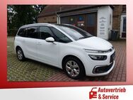 Citroen Grand C4 Picasso SpaceTourer 1.5 HDi 7-Sitzer - Potsdam