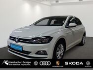 VW Polo, 1.0 TSI Comfortline vo hi, Jahr 2021 - Kaiserslautern