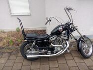 Harley-Davidson Fahrer sucht Sozia - Rothenburg (Tauber)