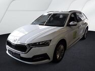 Skoda Octavia, 2.0 TDI Combi Ambition|||, Jahr 2021 - Darmstadt