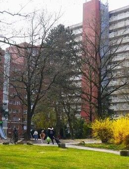 Nette Nachbarn gesucht: 3-Zimmer-Wohnung - Lüneburg