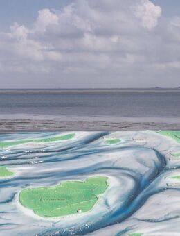 Gepflegte DHH hinter dem Nordseedeich - Halbinsel Nordstrand - Nordstrand