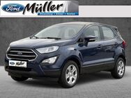 Ford EcoSport, 1.0 Cool & Connect EcoBoost Winterpaket, Jahr 2020 - Strausberg