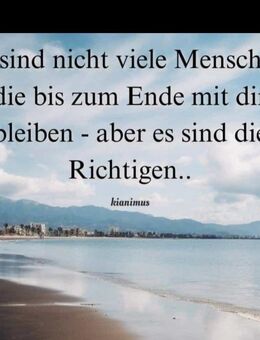Er sucht die Liebe für immer. 💞 - Senftenberg