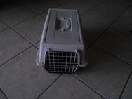 Stabile Hunde-Katzen- Kaninchen Transportbox - Steinbach (Glan)