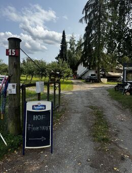Besuchen Sie den Hofflömarkt! Flömarkt Haushaltsauflösungen Tröde - Owingen