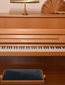 Klavier in 90559